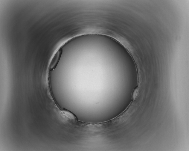 X0000115630912200911171333