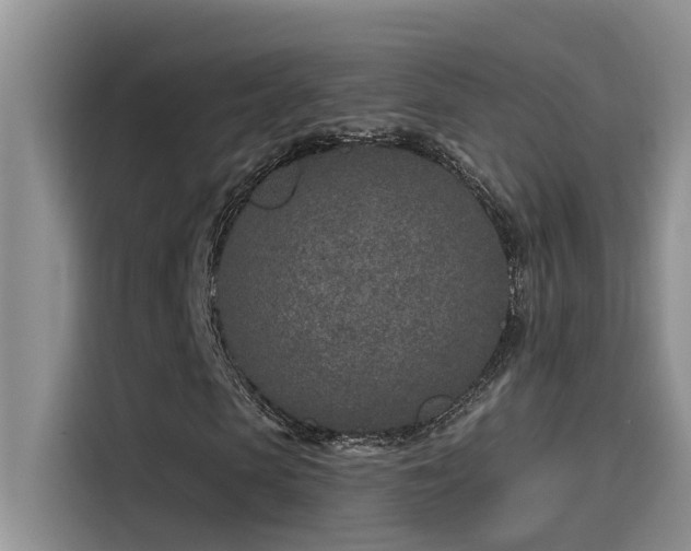 X0000115630913200911171333