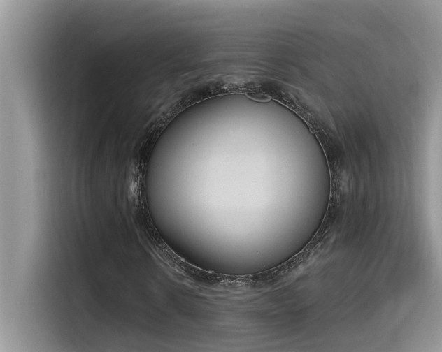 X0000115630914200911171333