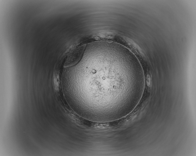 X0000115630915200911171333