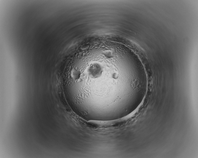 X0000115630917200911171333