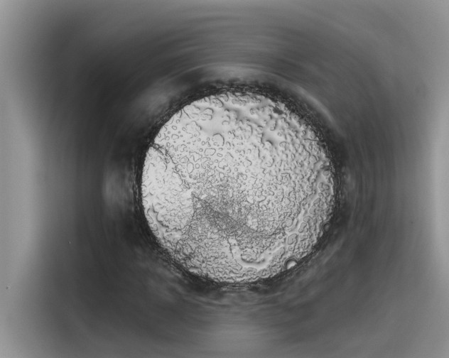 X0000115630918200911171333