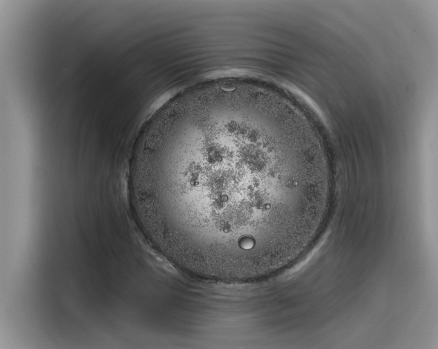 X0000115630921200911171333