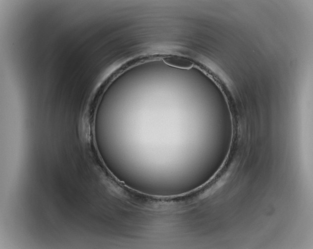 X0000115630925200911171333