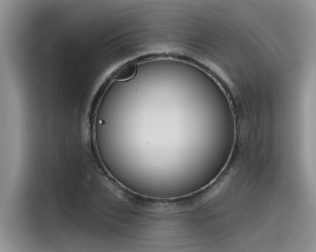 X0000115630927200911171333