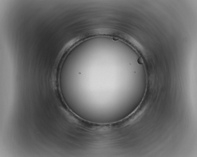 X0000115630930200911171333