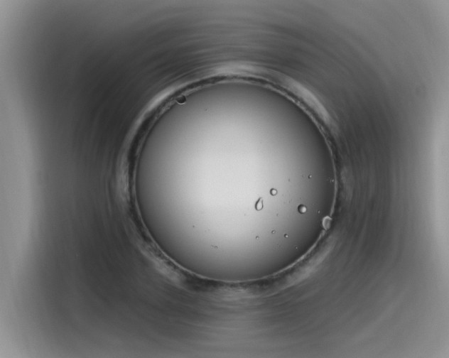 X0000115630931200911171333