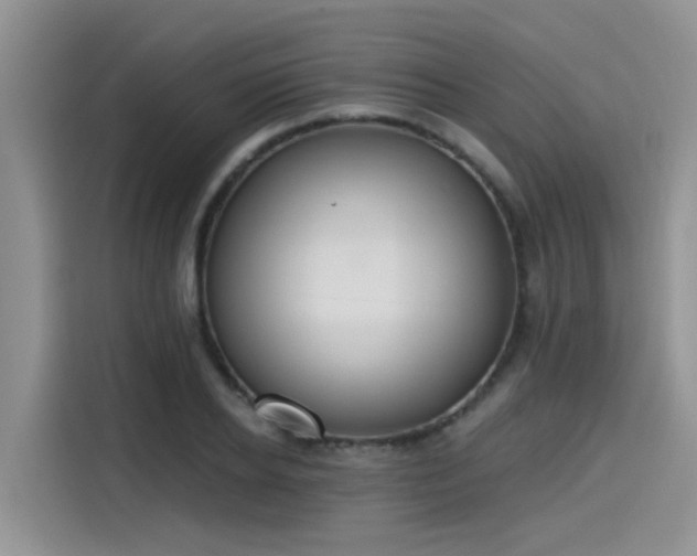 X0000115630934200911171333