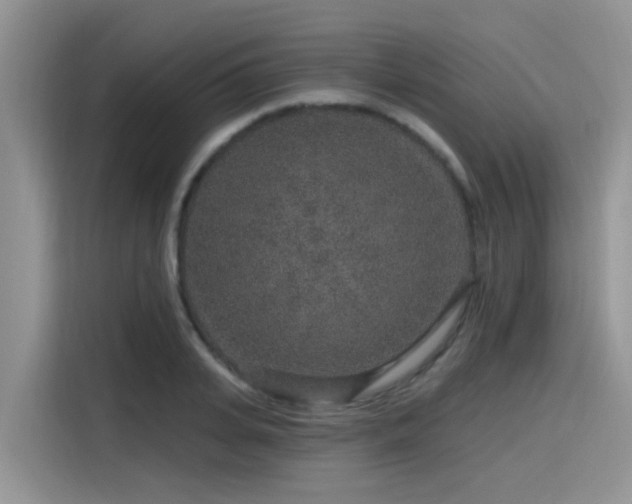 X0000115630935200911171333