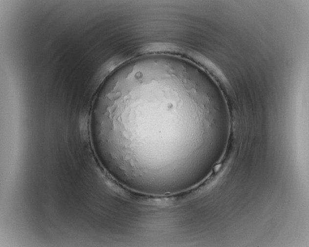 X0000115630937200911171333