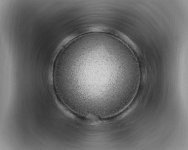 X0000115630938200911171333