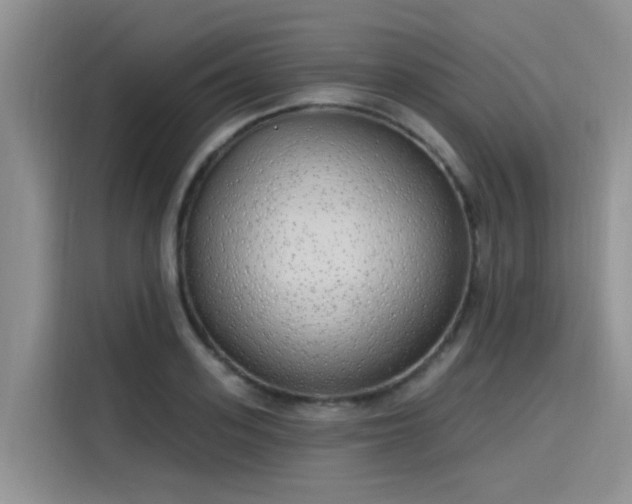 X0000115630939200911171333