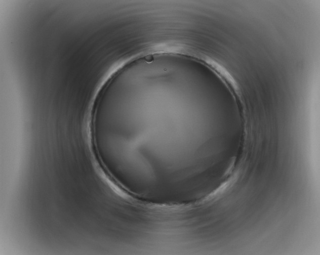 X0000115630941200911171333