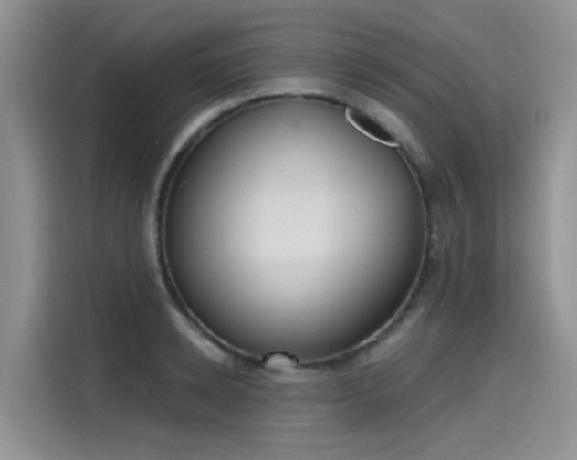 X0000115630942200911171333