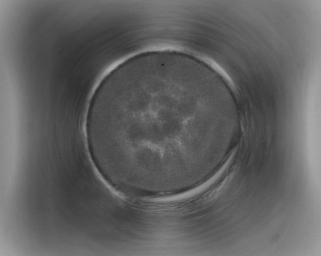 X0000115630943200911171333