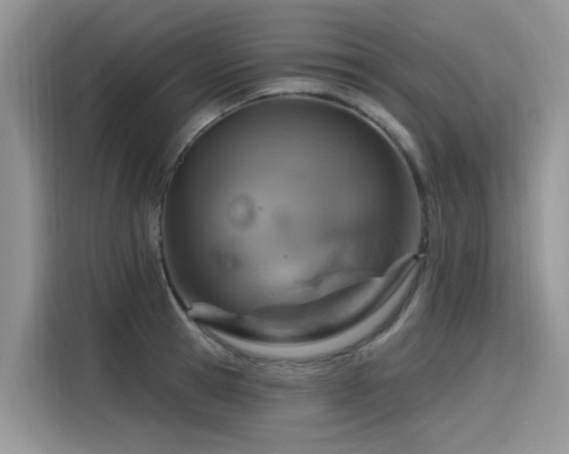 X0000115630945200911171333