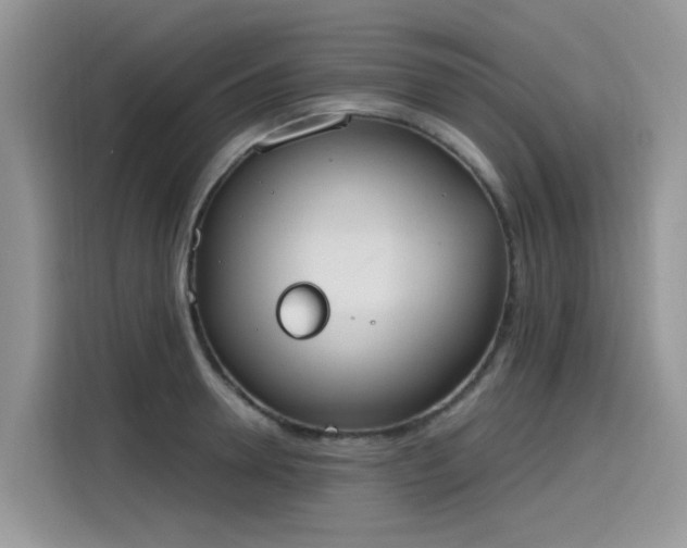 X0000115630946200911171333