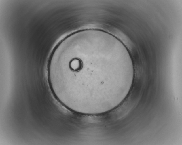 X0000115630950200911171333