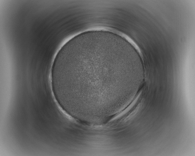 X0000115630951200911171333