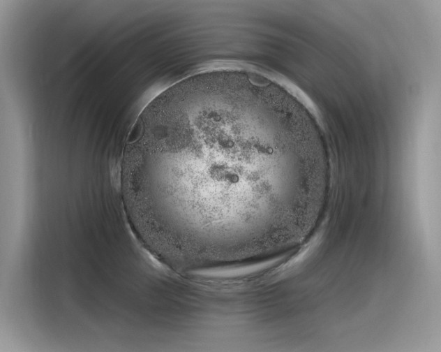 X0000115630953200911171333