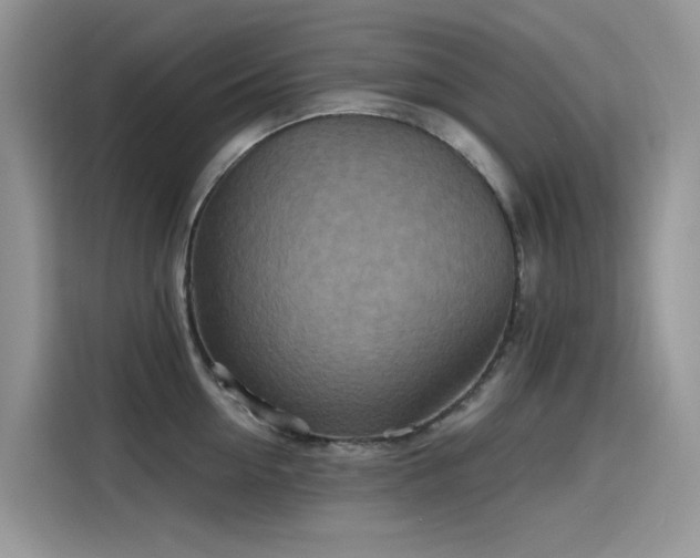 X0000115630954200911171333