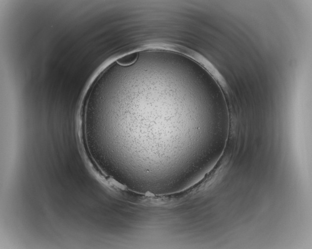 X0000115630955200911171333