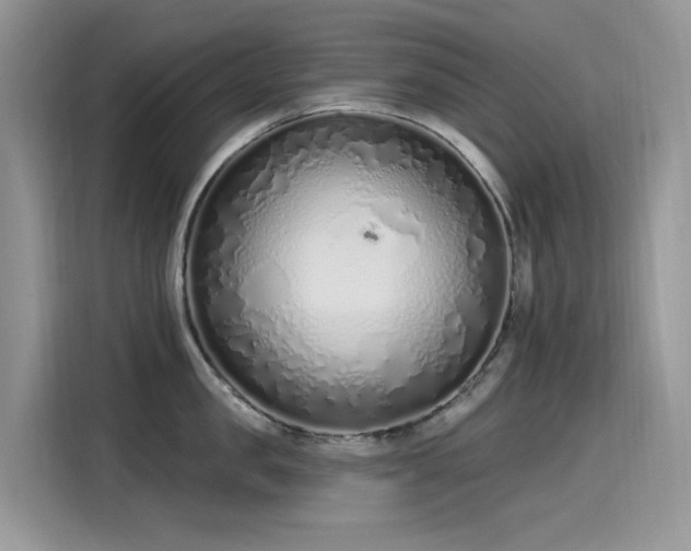 X0000115630957200911171333