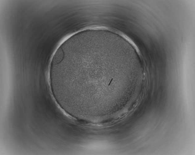 X0000115630959200911171333