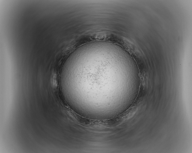 X0000115630962200911171333