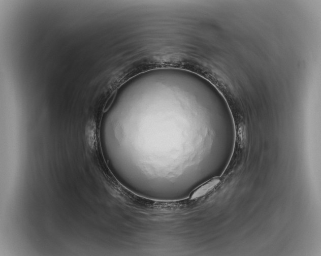 X0000115630963200911171333