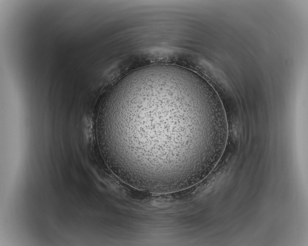 X0000115630964200911171333