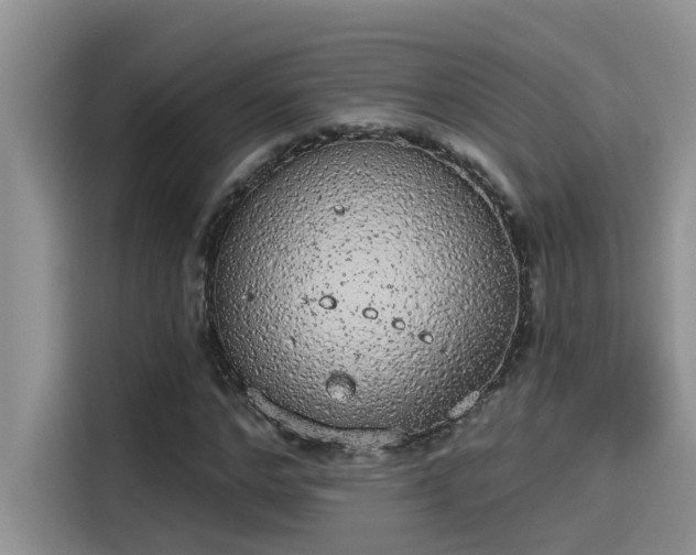 X0000115630968200911171332