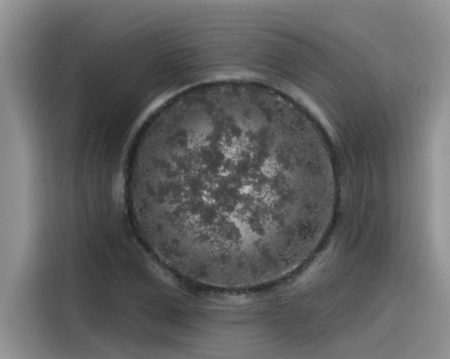 X0000115630975200911171332