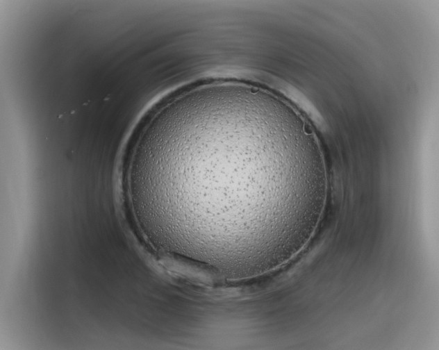 X0000115630976200911171332