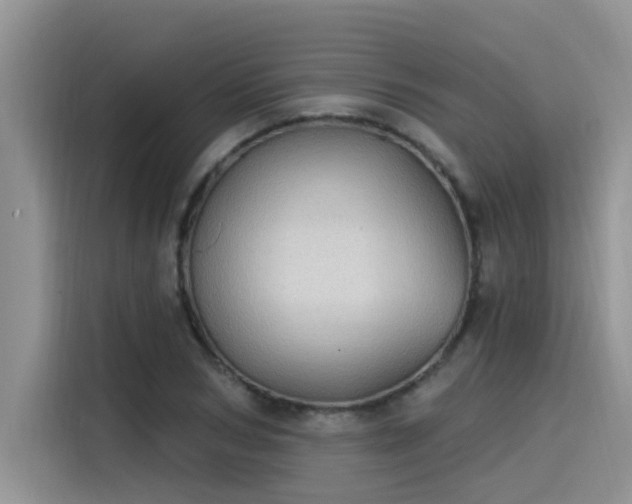 X0000115630978200911171332