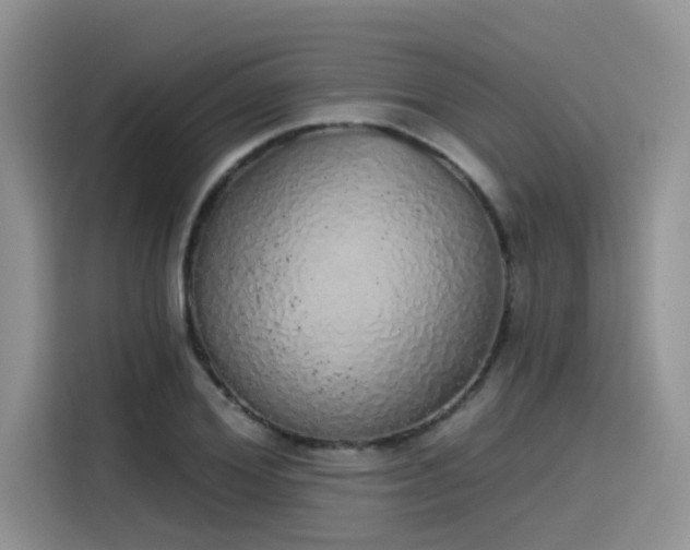 X0000115630980200911171332