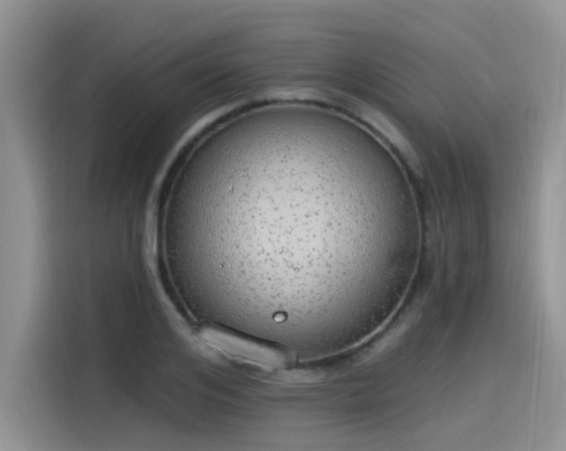 X0000115630984200911171332