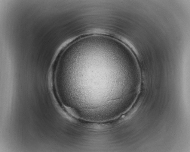 X0000115630987200911171332