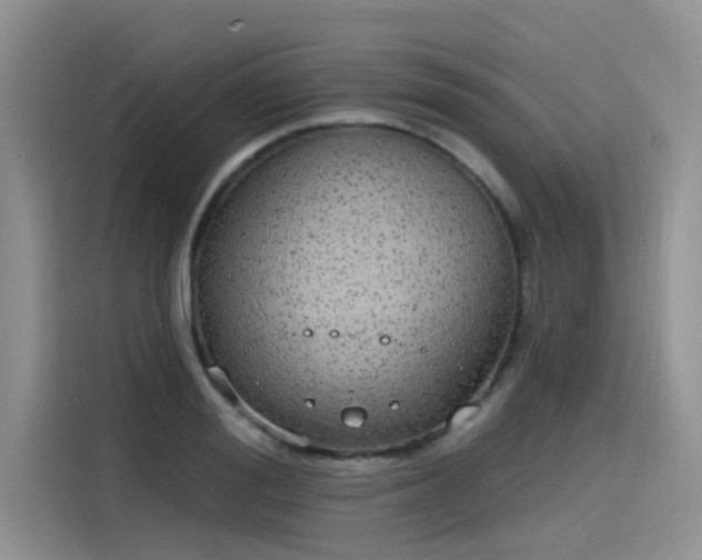 X0000115630988200911171332