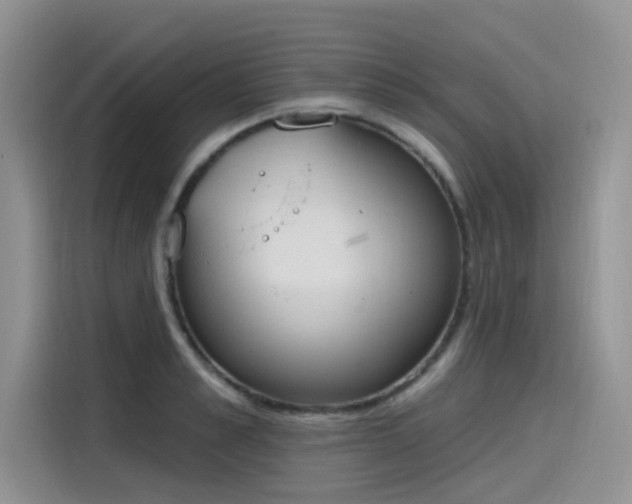 X0000115630989200911171332