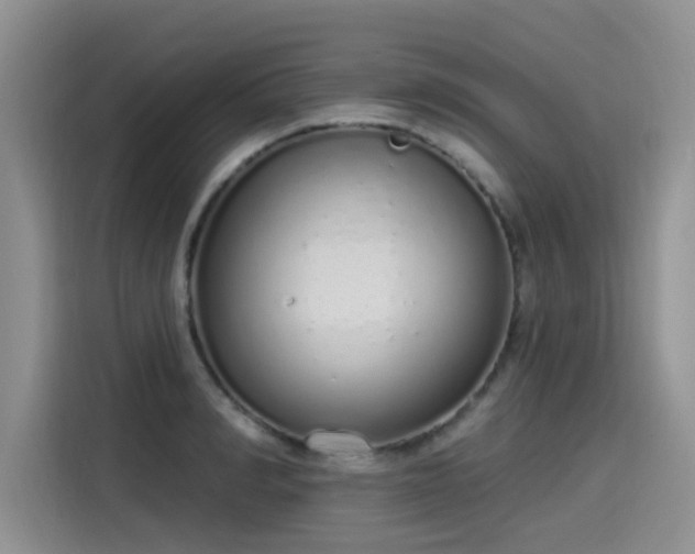 X0000115630990200911171332