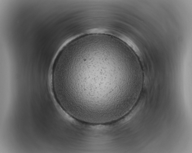 X0000115630992200911171332