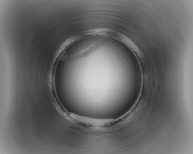 X0000115630994200911171332