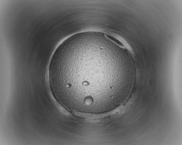 X0000115630996200911171332
