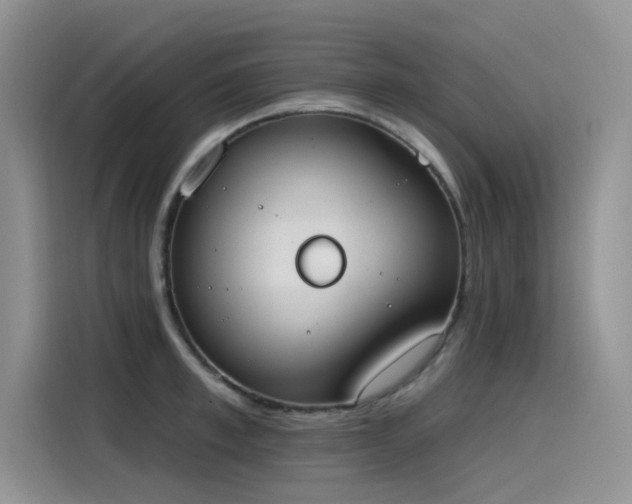 X0000115630997200911171332
