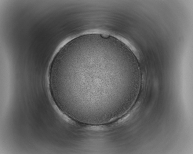 X0000115630998200911171332