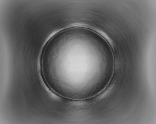 X0000115630999200911171332