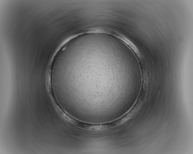 X0000115631000200911171332