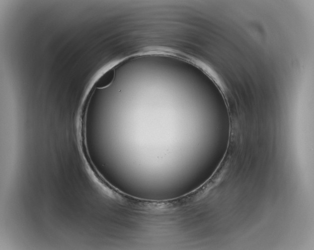 X0000115631003200911171332