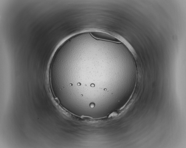 X0000115631004200911171332